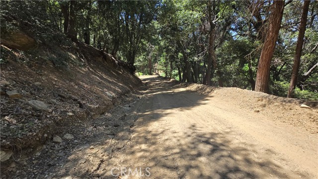 0 Mojave River Road, Cedarpines Park CA: https://media.crmls.org/medias/9798e015-a0c0-434f-ae9f-04b4535bf4b8.jpg