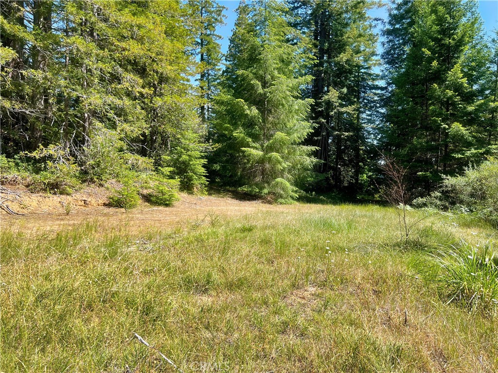 MLS #LC25132464 image #12