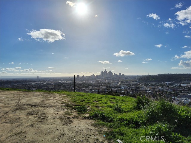 2931 Thomas Street, Los Angeles, California 90031, ,Land,For Sale,2931 Thomas Street,CRPW24023934