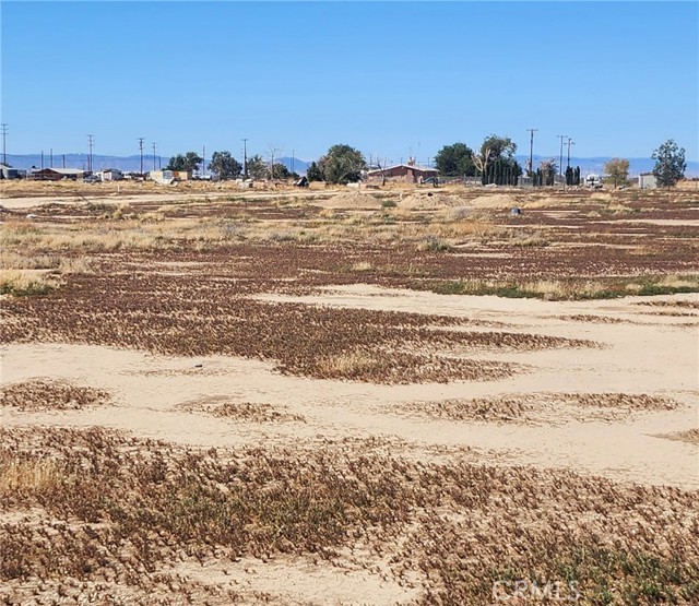 MLS #SR25244834 image #7