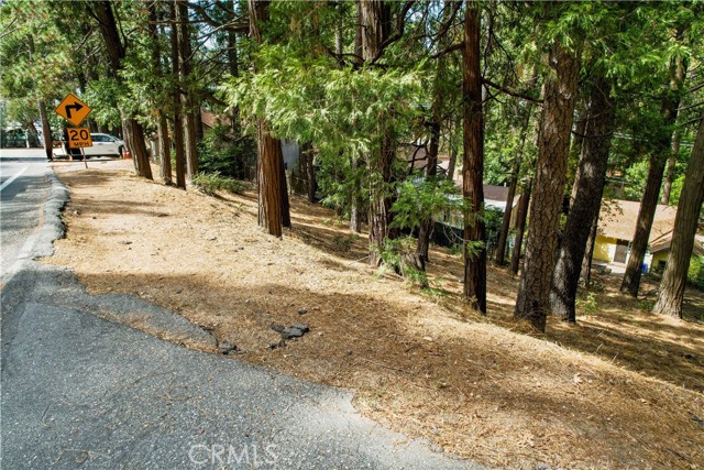 0 Crest Forest Drive, Crestline, California 92325, ,Land,For Sale,0 Crest Forest Drive,CRCV24039397