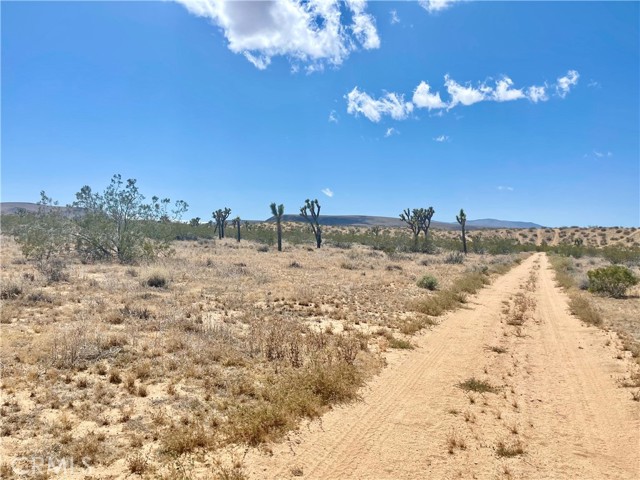 Detail Gallery Image 17 of 19 For 20 Acres, Yucca Valley,  CA 92285 - – Beds | – Baths