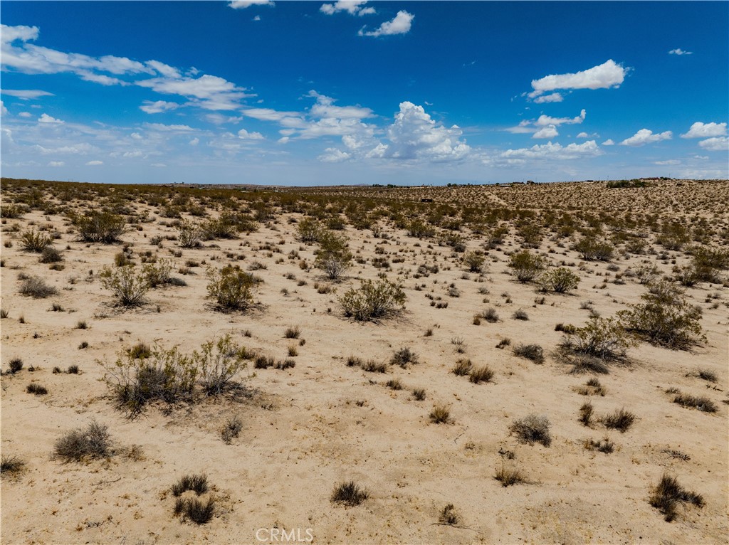 MLS #JT25165164 image #31