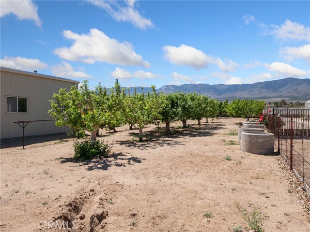 Detail Gallery Image 23 of 38 For 9639 Cody Rd, Lucerne Valley,  CA 92356 - 3 Beds | 2 Baths