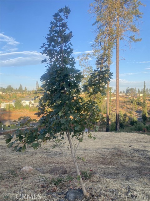 Image 4 of 12 For 5640 Gramercy