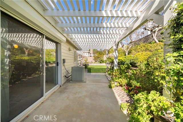 Image 26 of 43 For 26334 Emerald Dove