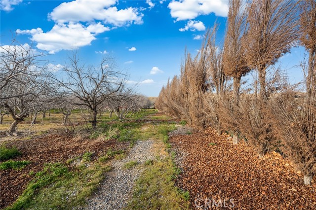 Image 53 of 73 For 31516 Clay River Road