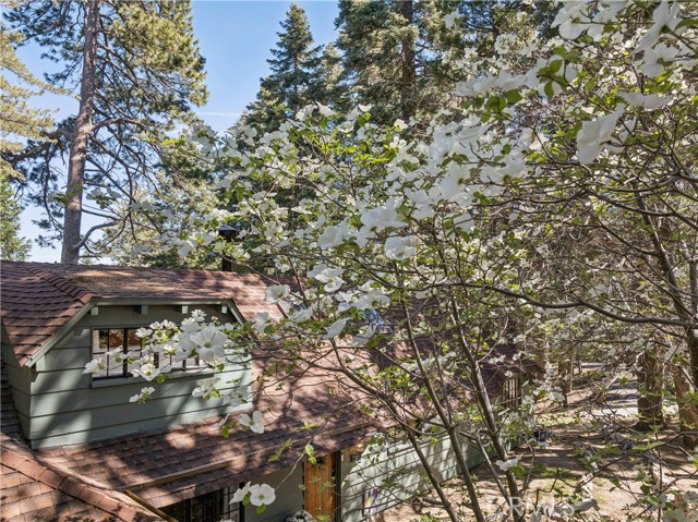 Detail Gallery Image 62 of 69 For 840 Coyote Walk, Lake Arrowhead,  CA 92352 - 4 Beds | 3 Baths