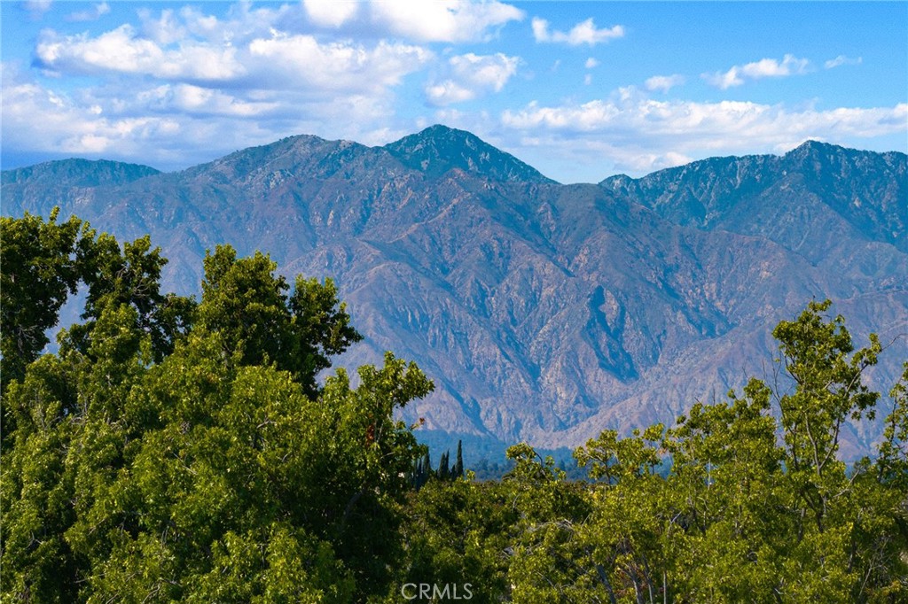 https://media.crmls.org/medias/97ebbc09-c30c-49f7-8d47-80f811d7a41b.jpg?preset=X-Large