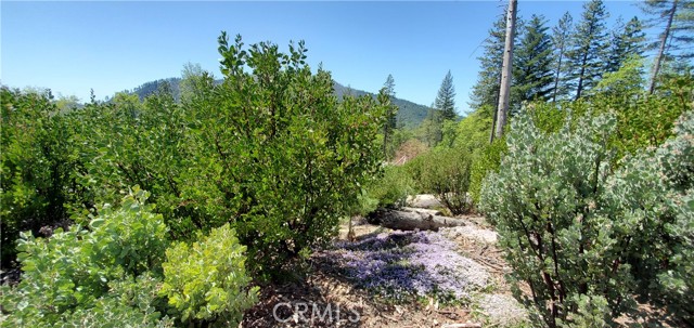 Detail Gallery Image 7 of 9 For 11150 Oak St, Cobb,  CA 95426 - – Beds | – Baths