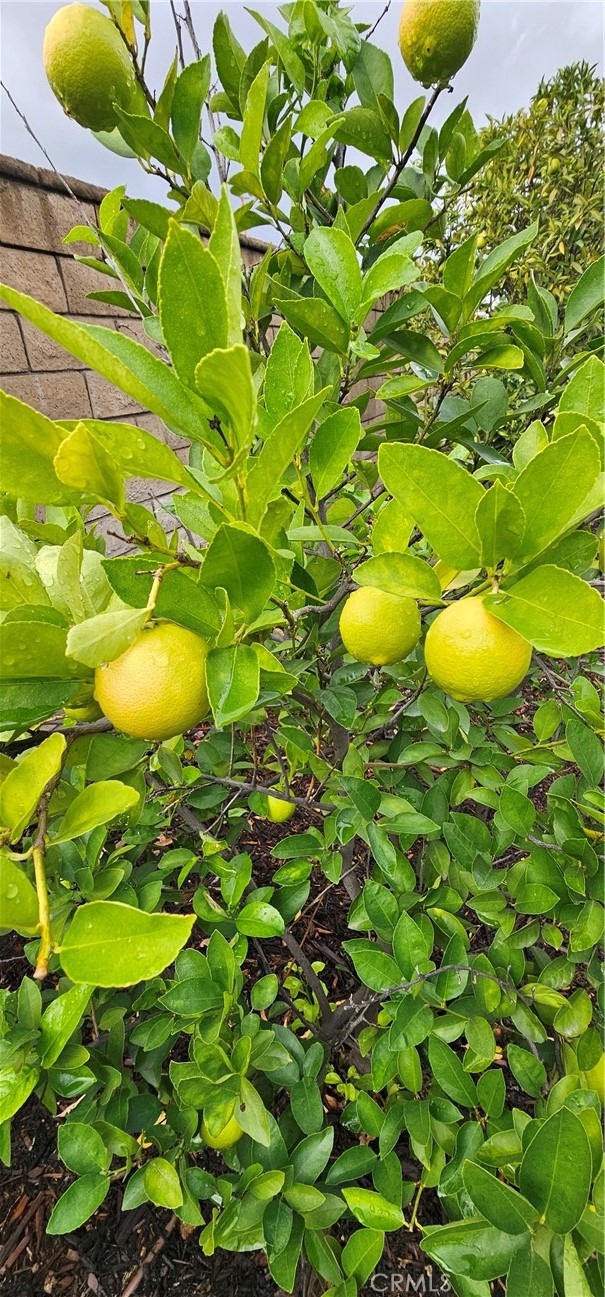 MLS #IG25244197 image #40