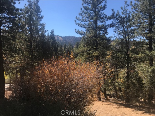 0 Sheephorn Rd, Big Bear City, California 92315, ,Land,For Sale,0 Sheephorn Rd,CRIG21227250