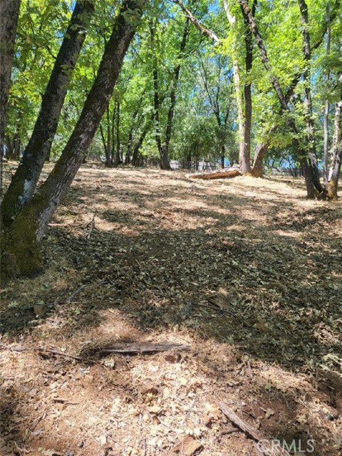3059 Riviera Heights Drive, Kelseyville CA: https://media.crmls.org/medias/9808a893-47a7-45ce-9593-d71ebef28945.jpg