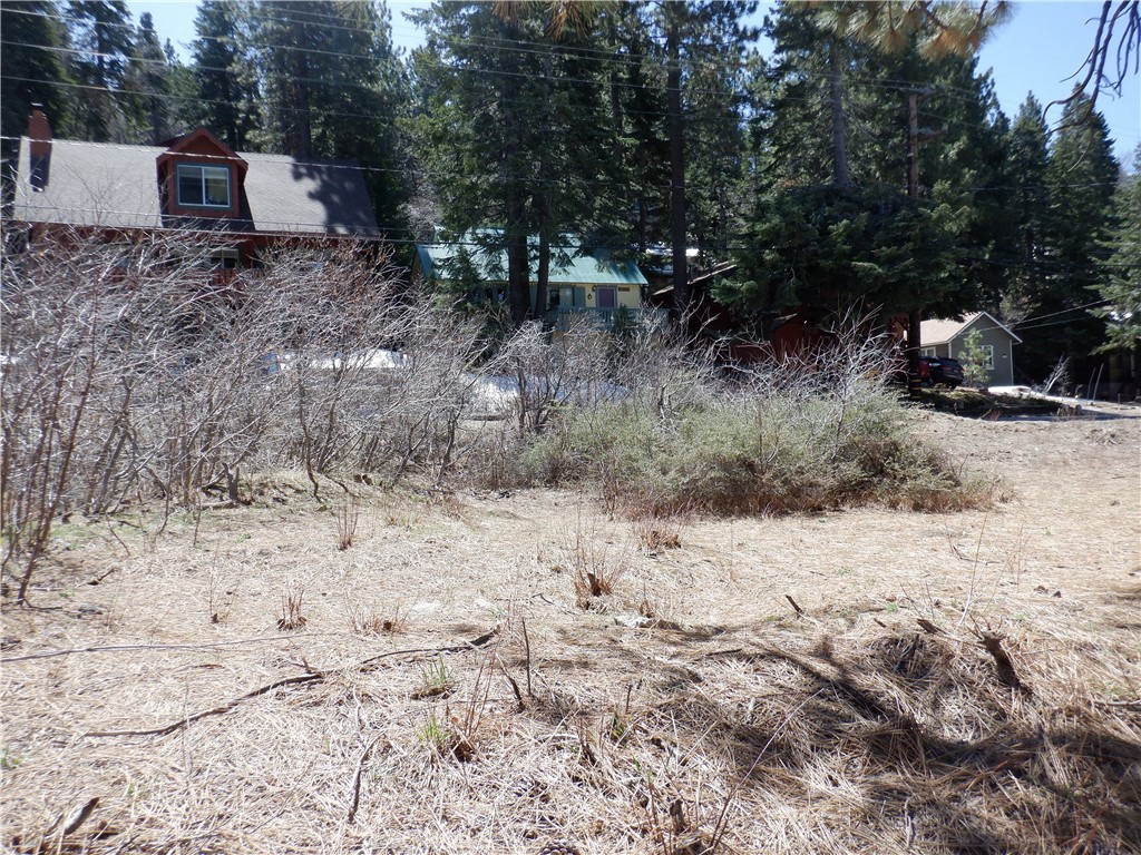 MLS #IV25083583 image #13