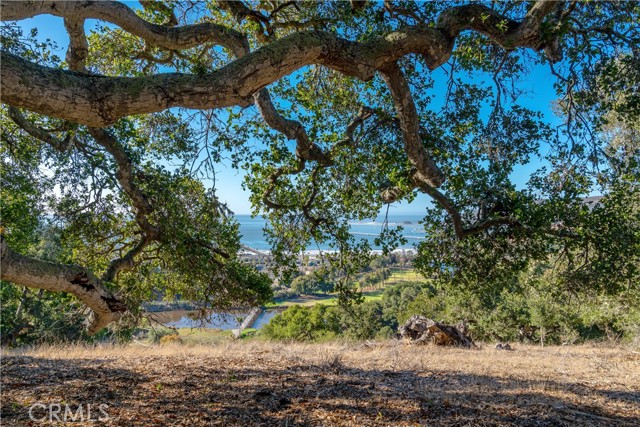 Detail Gallery Image 8 of 25 For 2665 Vista De Avila, Avila Beach,  CA 93424 - – Beds | – Baths