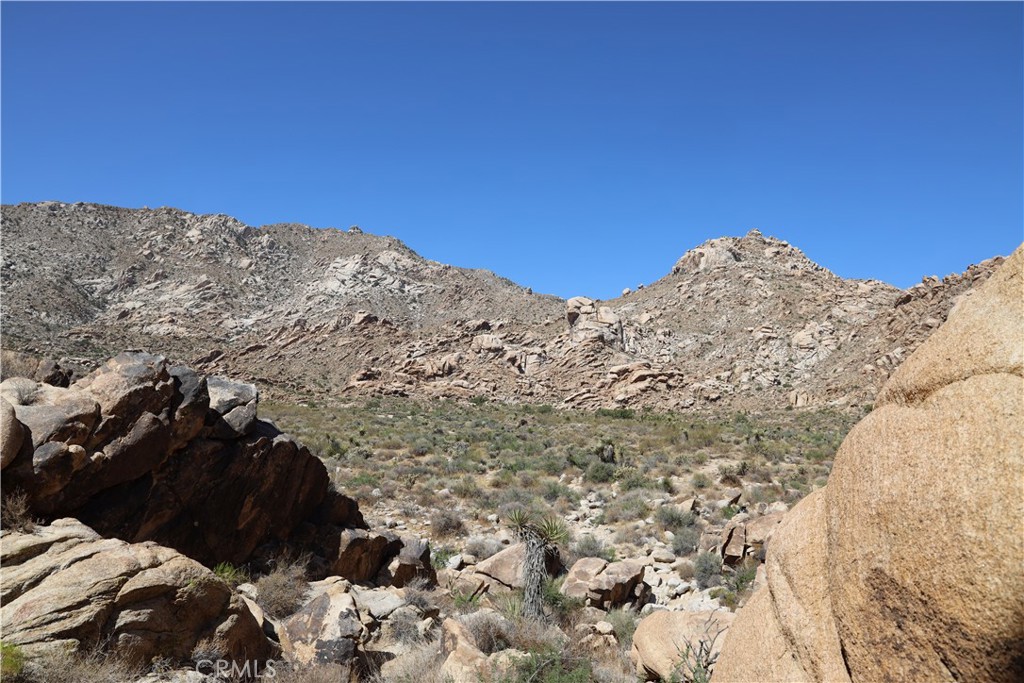 MLS #JT25234703 image #9