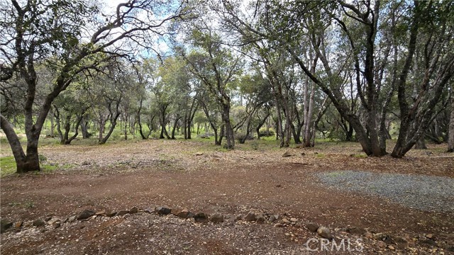 Detail Gallery Image 23 of 26 For 160 Fire Camp Rd, Oroville,  CA 95966 - 3 Beds | 2 Baths