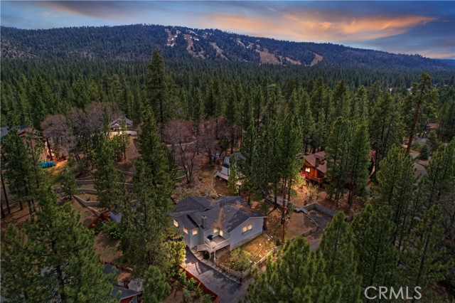 Detail Gallery Image 1 of 50 For 42377 Paramount Rd, Big Bear Lake,  CA 92315 - 4 Beds | 2 Baths