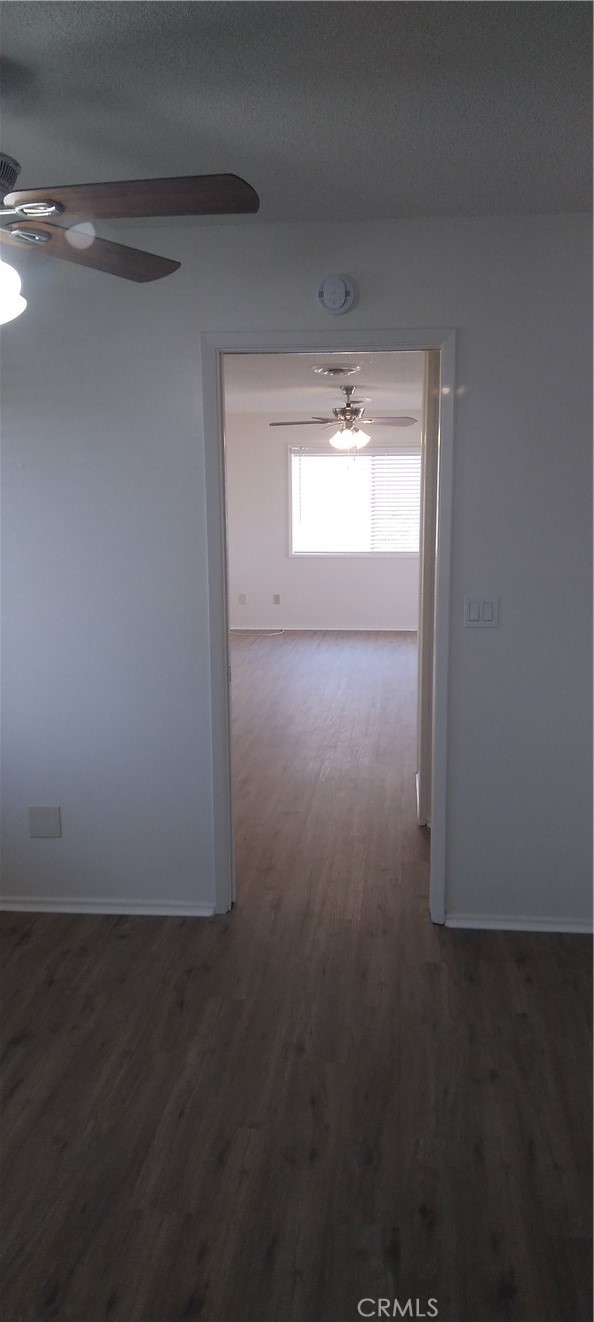 MLS #JT25161979 image #13