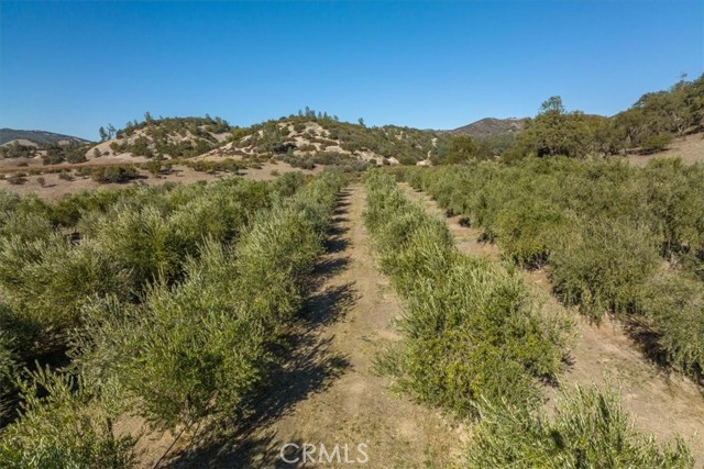 Detail Gallery Image 39 of 75 For 61969 Argyle Rd, King City,  CA 93930 - – Beds | – Baths