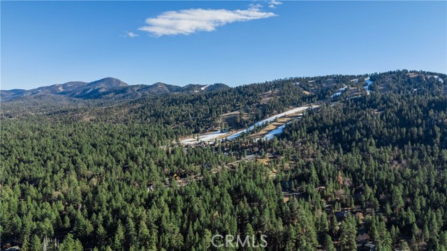 Detail Gallery Image 2 of 27 For 372 Conklin Rd, Big Bear Lake,  CA 92315 - 2 Beds | 1 Baths