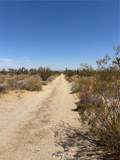  Land for Sale in Black Butte, California