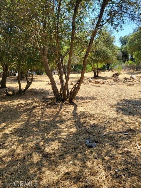 3150 Country Club Drive, Clearlake CA: https://media.crmls.org/medias/982a6d6c-5e62-477e-b2f1-0b30987f1245.jpg
