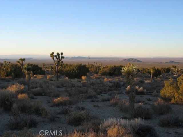 Detail Gallery Image 12 of 64 For 30840 234th St, Llano,  CA 93544 - 1 Beds | 1 Baths