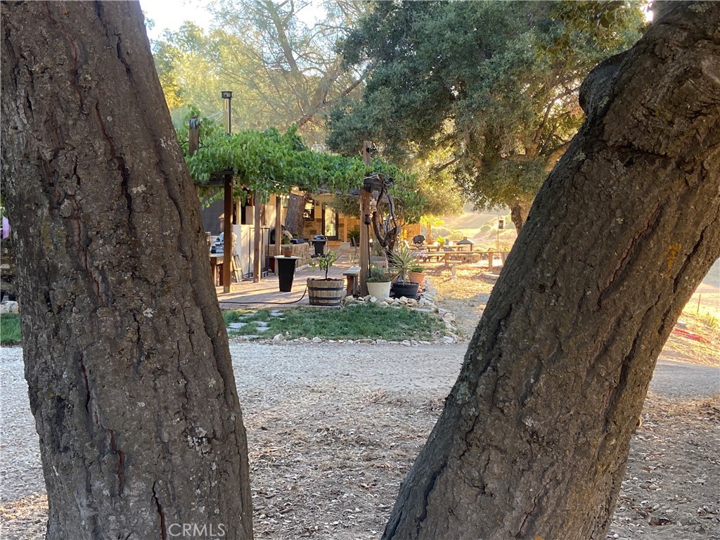 https://media.crmls.org/medias/983176e2-e2a3-42e5-a134-f1e91d199e30.jpg?preset=X-Large