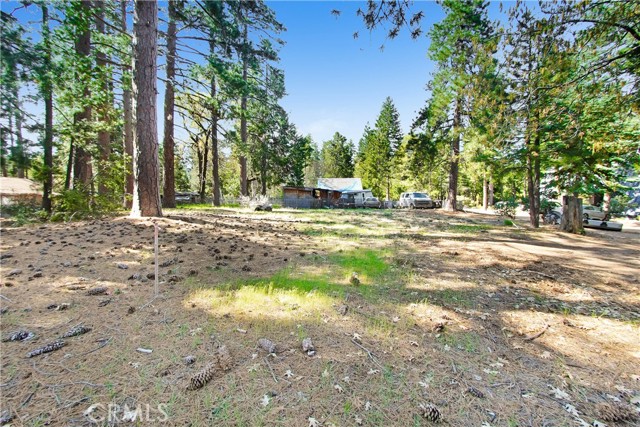 Detail Gallery Image 3 of 20 For 0 Pine Ridge Rd, Idyllwild,  CA 92548 - – Beds | – Baths