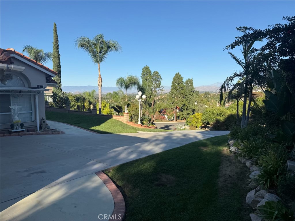 MLS #CV25244342 image #5