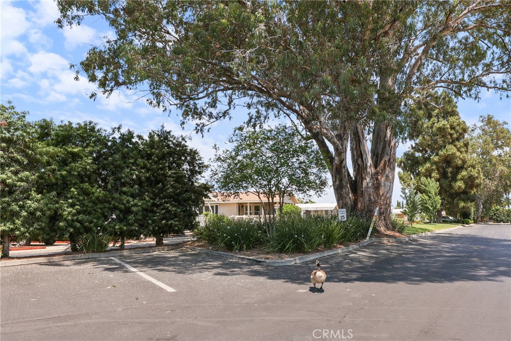 MLS #OC25256466 image #63