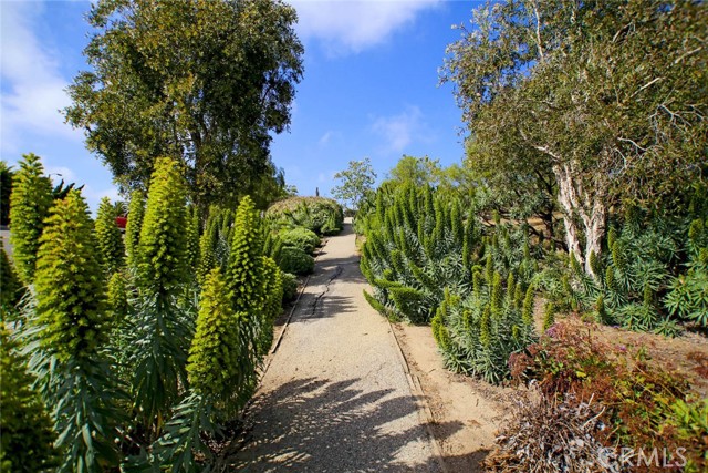 Detail Gallery Image 46 of 50 For 1040 La Mirada St, Laguna Beach,  CA 92651 - 3 Beds | 3 Baths