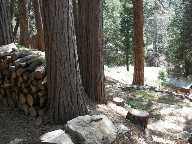 Detail Gallery Image 72 of 73 For 21636 Sawpit Canyon, Cedarpines Park,  CA 92322 - 3 Beds | 2 Baths