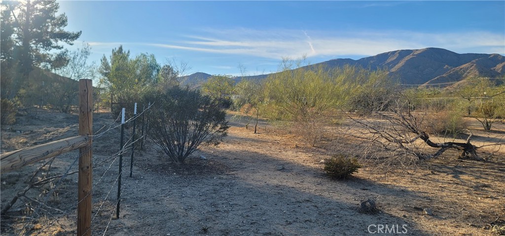 MLS #DW25229316 image #14