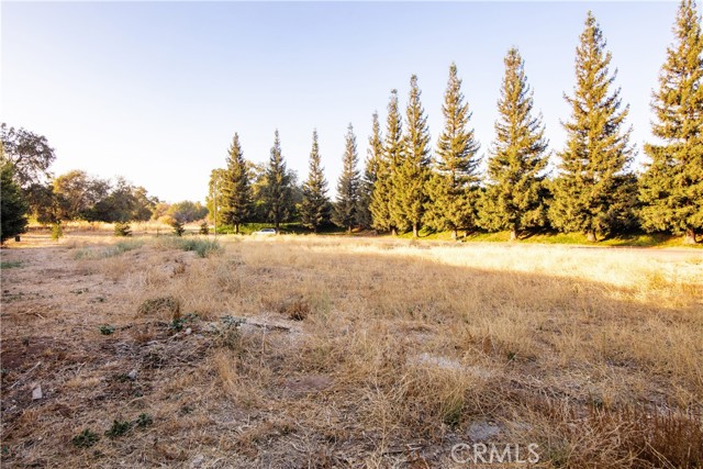 Detail Gallery Image 6 of 9 For 10680 Player Ln, Chico,  CA 95928 - – Beds | – Baths