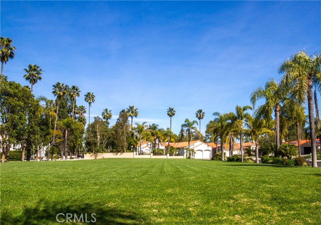 Very large grass area and park in the Wallace Ranch community