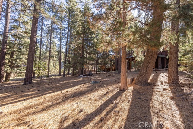43320 Sand Canyon, Big Bear Lake, CA 92315