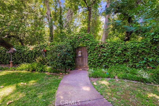 Backyard view
