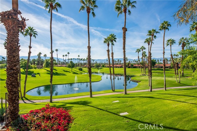 Image 1 for 38399 Nasturtium