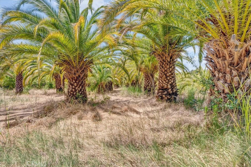 https://media.crmls.org/medias/984a8c2e-ce32-4990-b7c0-4829ba6aabef.jpg?preset=X-Large