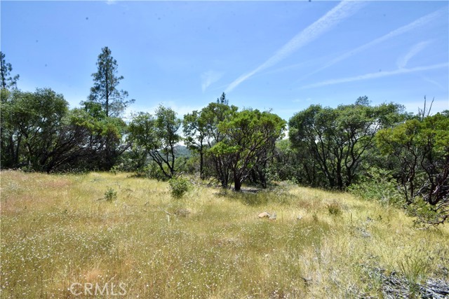 0 Mackey Court, Oroville CA: https://media.crmls.org/medias/98529e15-0dd4-4a46-a79e-02a571b13dea.jpg