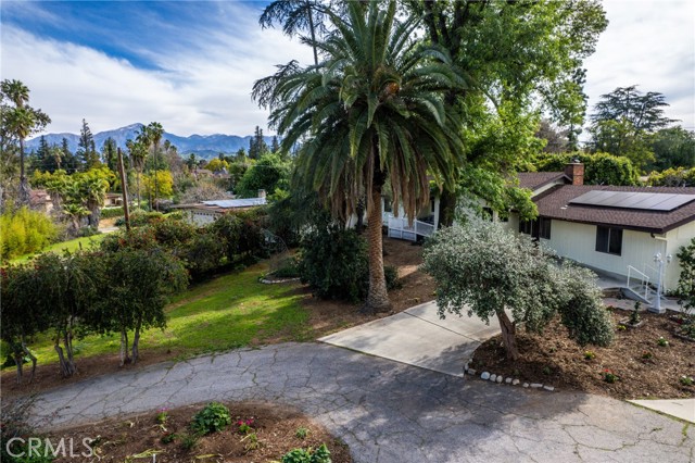 Detail Gallery Image 9 of 60 For 120 Franklin Ave, Redlands,  CA 92373 - 4 Beds | 3 Baths