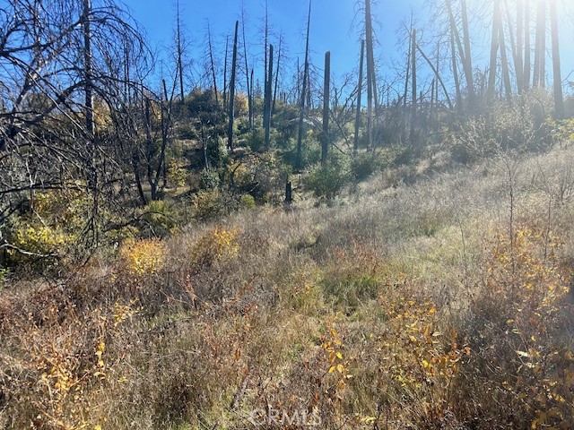 Detail Gallery Image 23 of 39 For 0 Craig Access, Feather Falls,  CA 95940 - – Beds | – Baths