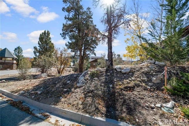 42565 Pegasus Way, Big Bear Lake, California 92315, ,Land,For Sale,42565 Pegasus Way,CREV24032569