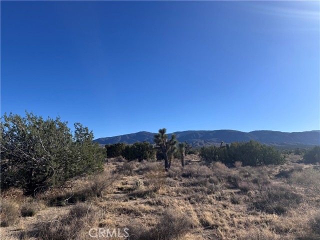 Detail Gallery Image 4 of 15 For 0 Vac/Antelope, Llano,  CA 93544 - – Beds | – Baths