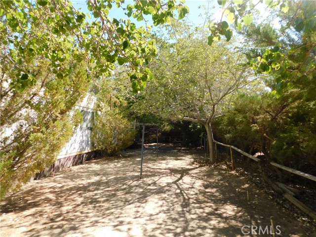 Detail Gallery Image 47 of 67 For 45985 Cottonwood Rd, Newberry Springs,  CA 92365 - 4 Beds | 5/1 Baths