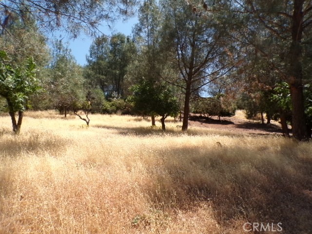 10318 Hok Has Ha Lane, Kelseyville CA: https://media.crmls.org/medias/986b780f-9944-4c61-a13a-f508bc7a1216.jpg