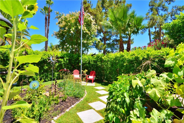 Detail Gallery Image 22 of 29 For 45525 Highway 79 Lot 1, Aguanga,  CA 92536 - – Beds | – Baths