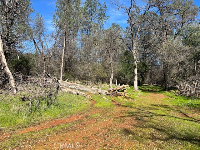 0 Highlands Boulevard, Oroville, California 95965, ,Land,For Sale,0 Highlands Boulevard,CRSN23181045